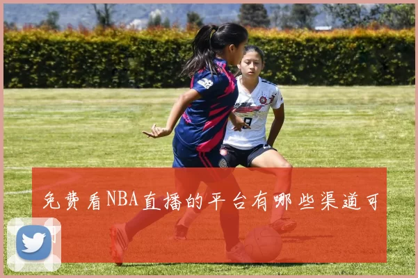 免费看NBA直播的平台有哪些渠道可用