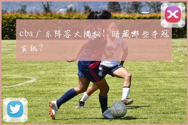 cba广东阵容大揭秘!暗藏哪些夺冠玄机?