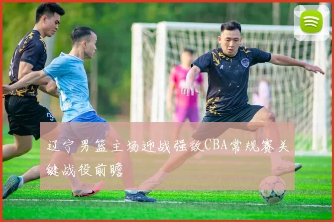 辽宁男篮主场迎战强敌CBA常规赛关键战役前瞻